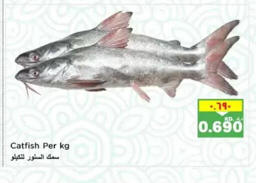 available at نستو هايبر ماركت in الكويت - مدينة الكويت