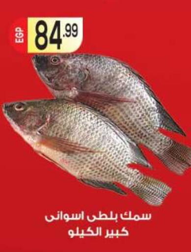 available at المحلاوي ماركت in Egypt - القاهرة