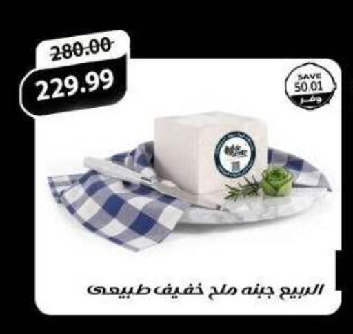 available at ذا مارت in Egypt - القاهرة