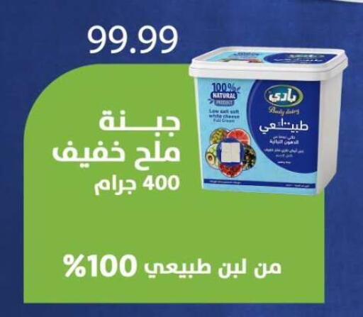 available at المحلاوي ماركت in Egypt - القاهرة