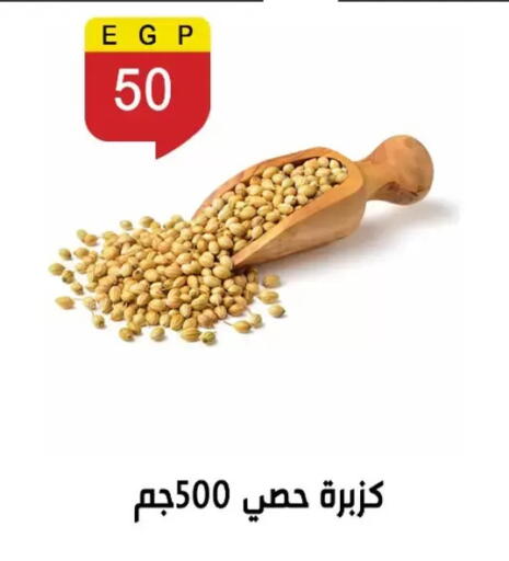 available at بن سليمان in Egypt - القاهرة
