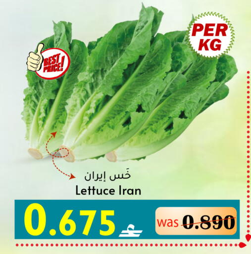 Lettuce from Iran available at مركز المزن للتسوق in عُمان - مسقط‎
