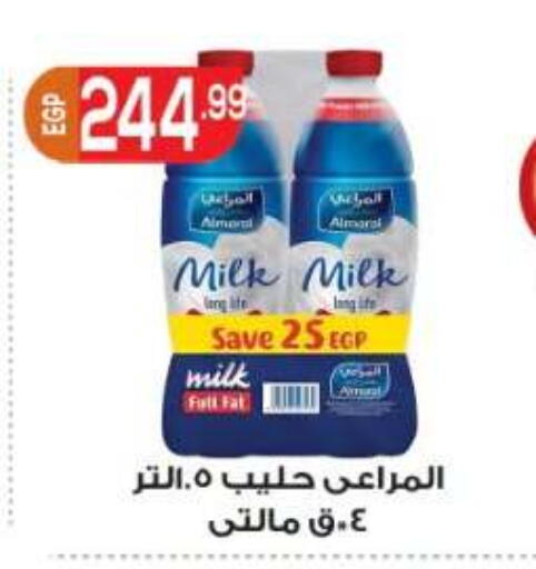 available at El Mahallawy Market  in Egypt - Cairo