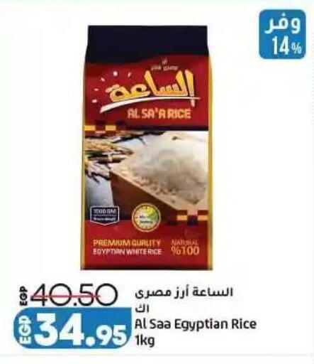available at لولو هايبرماركت in Egypt - القاهرة