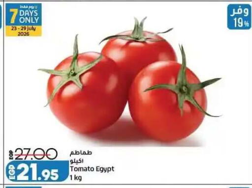 Tomato from Egypt available at لولو هايبرماركت in Egypt - القاهرة