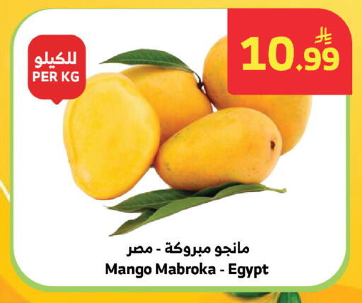 Mango from Egypt available at الراية in مملكة العربية السعودية, السعودية, سعودية - المدينة المنورة