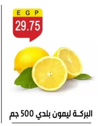 available at بن سليمان in Egypt - القاهرة