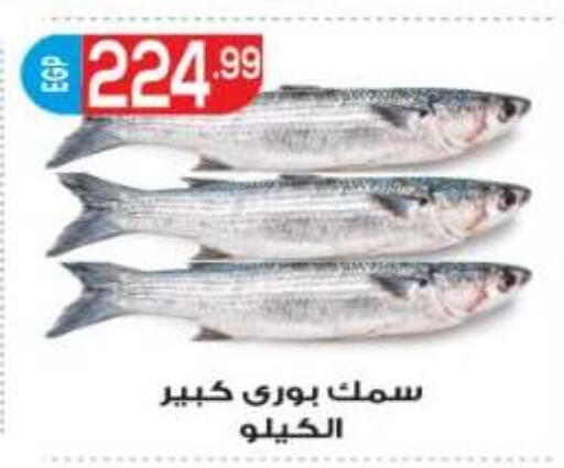 available at المحلاوي ماركت in Egypt - القاهرة