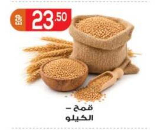 available at المحلاوي ماركت in Egypt - القاهرة