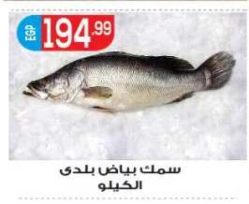 available at المحلاوي ماركت in Egypt - القاهرة