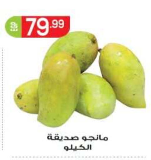 available at المحلاوي ماركت in Egypt - القاهرة
