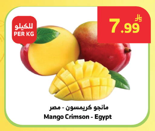 Mango from Egypt available at الراية in مملكة العربية السعودية, السعودية, سعودية - المدينة المنورة