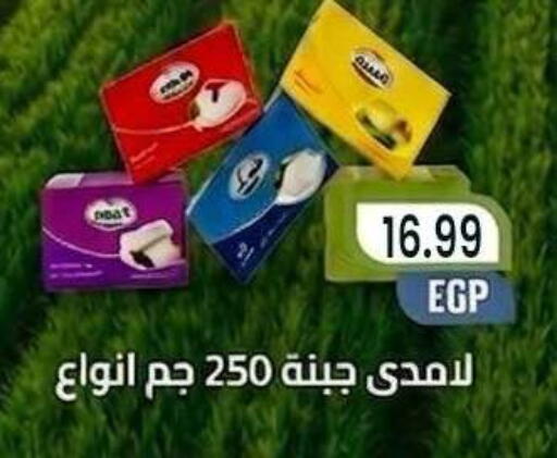 available at المحلاوي ماركت in Egypt - القاهرة