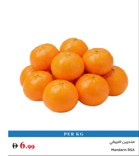 Mandarin available at تروليز سوبرماركت in الإمارات العربية المتحدة , الامارات - دبي