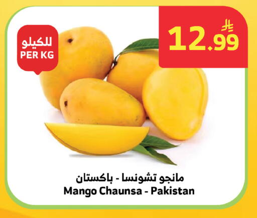 Mango from Pakistan available at الراية in مملكة العربية السعودية, السعودية, سعودية - المدينة المنورة
