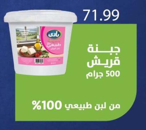 available at المحلاوي ماركت in Egypt - القاهرة
