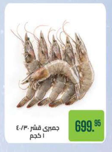 available at سعودي سوبرماركت in Egypt - القاهرة