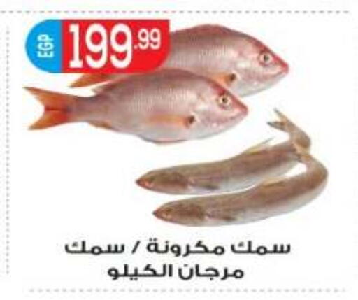 available at المحلاوي ماركت in Egypt - القاهرة