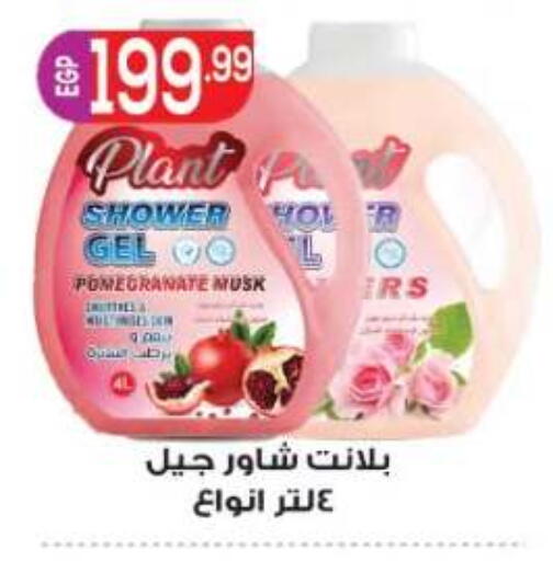 Pomegranate available at المحلاوي ماركت in Egypt - القاهرة