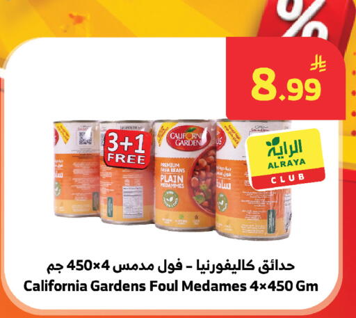 available at Al Raya in KSA, Saudi Arabia, Saudi - Jeddah