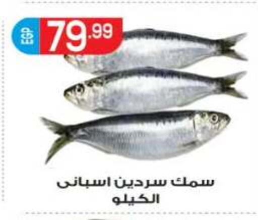 available at المحلاوي ماركت in Egypt - القاهرة