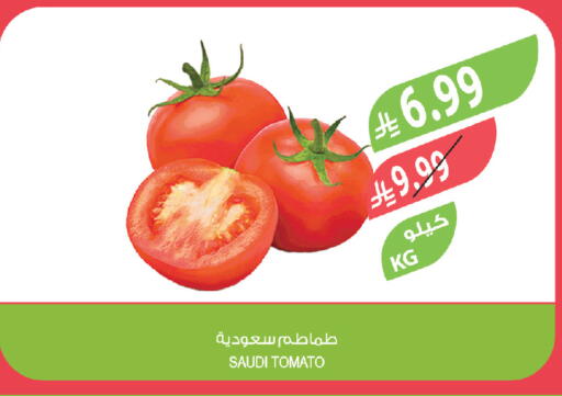 Tomato from Saudi Arabia available at المزرعة in مملكة العربية السعودية, السعودية, سعودية - سكاكا