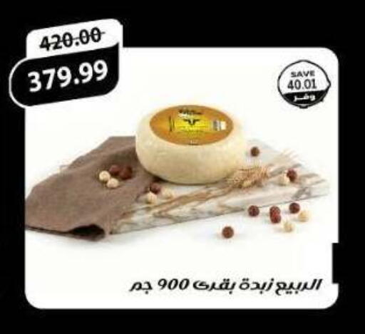 available at ذا مارت in Egypt - القاهرة