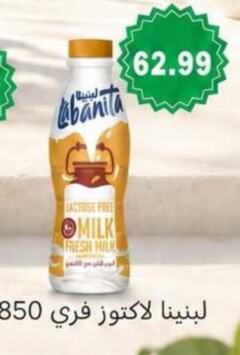 available at المحلاوي ماركت in Egypt - القاهرة