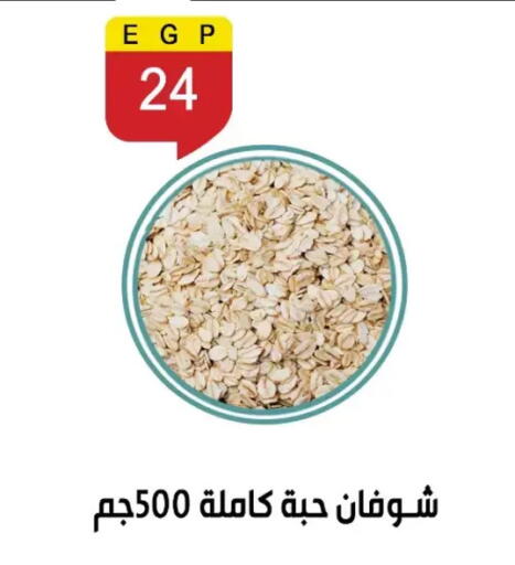 available at بن سليمان in Egypt - القاهرة