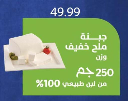 available at المحلاوي ماركت in Egypt - القاهرة