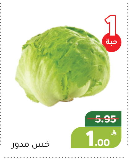 Apple available at أسواق جرين أبل in مملكة العربية السعودية, السعودية, سعودية - الأحساء‎