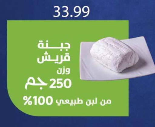 available at المحلاوي ماركت in Egypt - القاهرة
