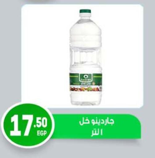 available at المحلاوي ماركت in Egypt - القاهرة