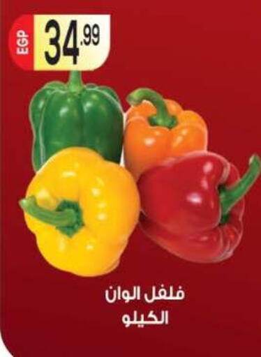 available at المحلاوي ماركت in Egypt - القاهرة
