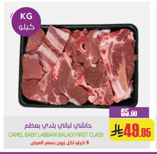available at Sapt in KSA, Saudi Arabia, Saudi - Buraidah