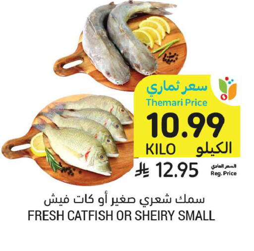 available at Tamimi Market in KSA, Saudi Arabia, Saudi - Medina