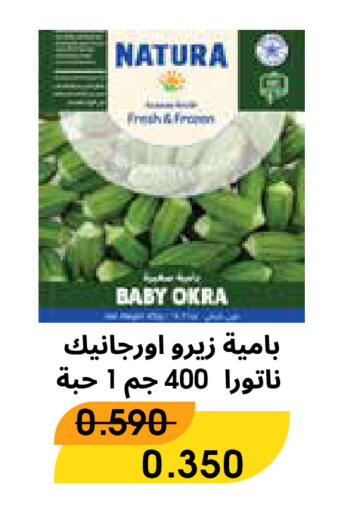 Okra available at Al Rawda & Hawally Coop Society in Kuwait - Kuwait City