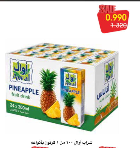 Pineapple available at Al Rawda & Hawally Coop Society in Kuwait - Kuwait City