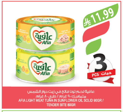 available at المزرعة in مملكة العربية السعودية, السعودية, سعودية - تبوك