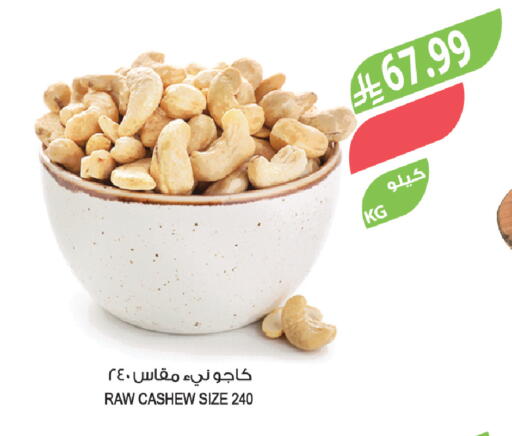 available at Farm  in KSA, Saudi Arabia, Saudi - Al-Kharj
