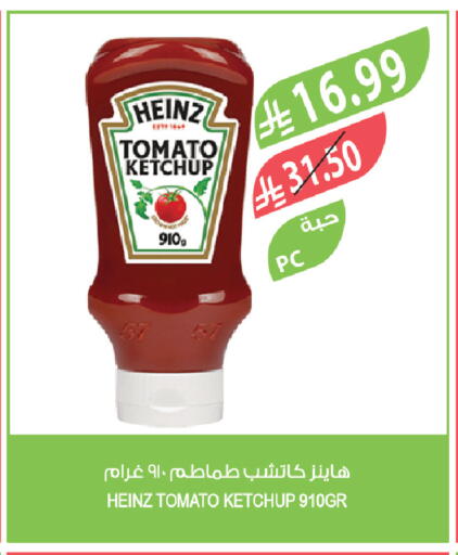 Tomato available at Farm  in KSA, Saudi Arabia, Saudi - Al-Kharj