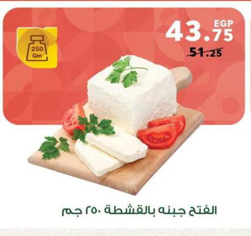 available at بنده in Egypt - القاهرة