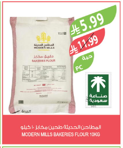 Mint available at Farm  in KSA, Saudi Arabia, Saudi - Al-Kharj