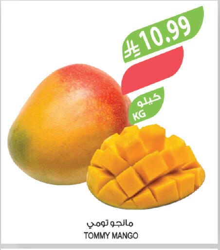 Mango available at Farm  in KSA, Saudi Arabia, Saudi - Al-Kharj