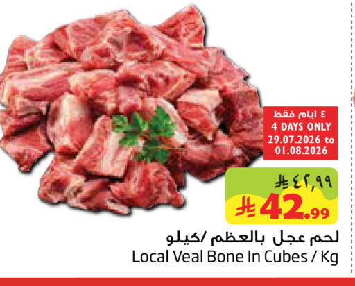 available at Layan Hyper in KSA, Saudi Arabia, Saudi - Al Khobar