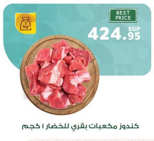 available at بنده in Egypt - القاهرة