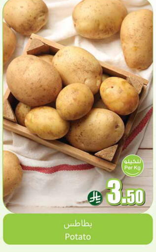 Potato available at أسواق عبد الله العثيم in مملكة العربية السعودية, السعودية, سعودية - الخرج