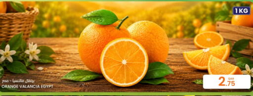 Orange from Valancia Egypt available at البلدي اليوم in قطر - الشمال
