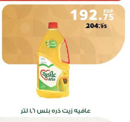 available at بنده in Egypt - القاهرة