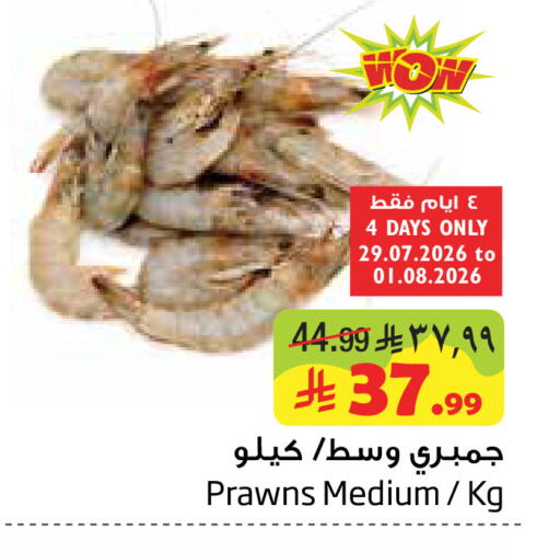 available at ليان هايبر in مملكة العربية السعودية, السعودية, سعودية - الخبر‎